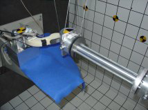 Dummyentwicklung