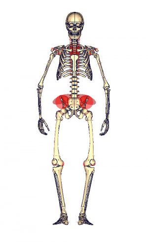 Injury Risk Analysis